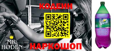 индика Гусев