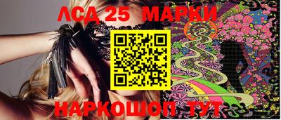индика Гусев