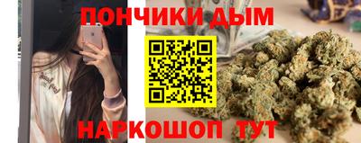 индика Гусев
