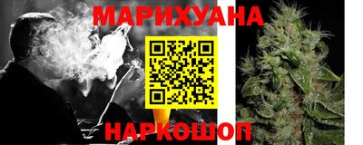 индика Гусев