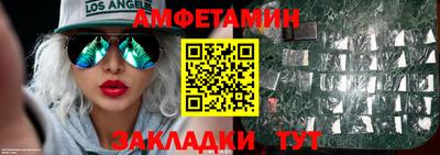 индика Гусев