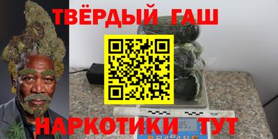 индика Гусев