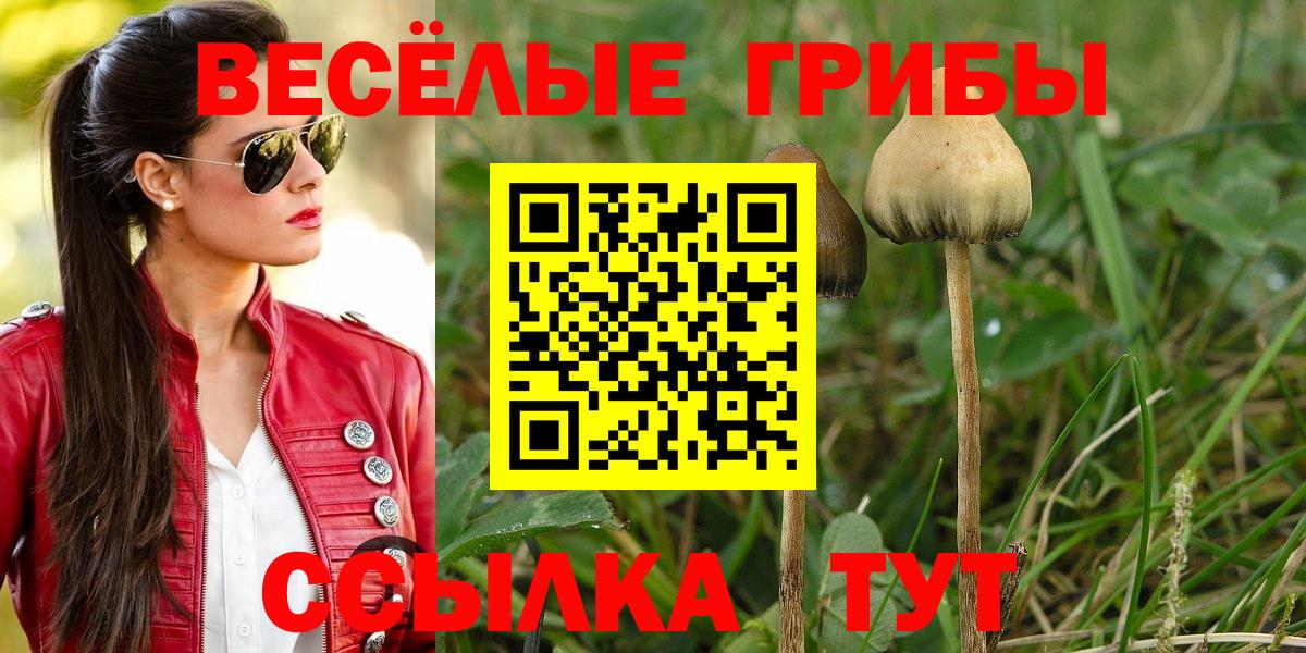 Галлюциногенные грибы мухоморы Карабулак